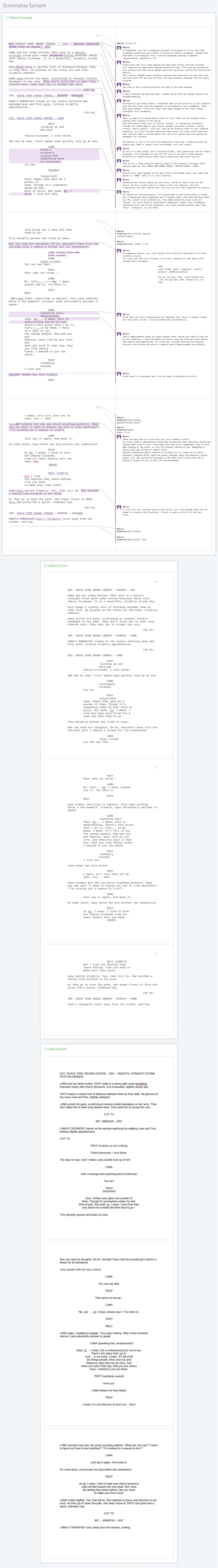 Screenplay Sample
