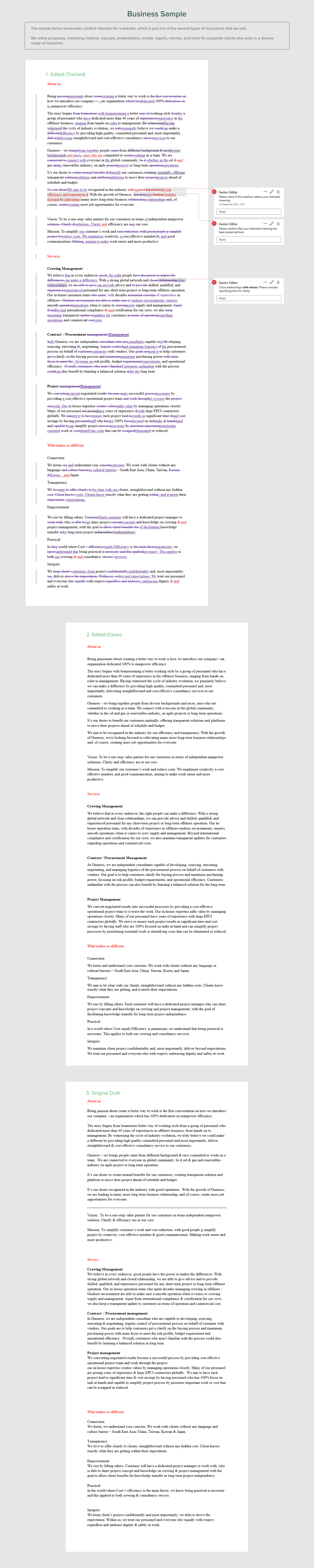  Business Sample